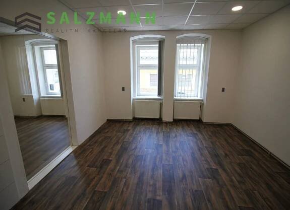 Kancelářské prostory (cihla, 80m2), Plzeň  Východní Předměstí, Wenzigova ul., obrázek č. 2