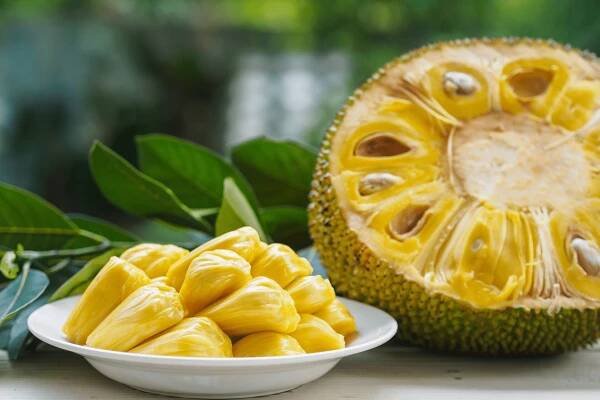 Chopped jackfruit ready to cook