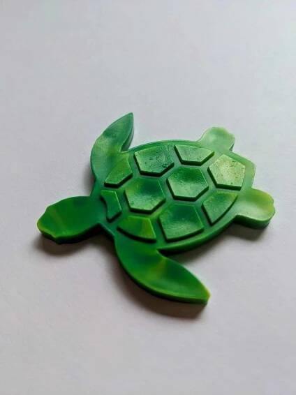 Turtle Magnet 4 Pack - Image 5
