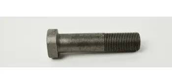 Šroub M 24x2-100