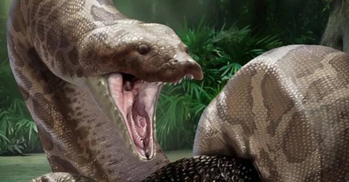 VIDEO: Největší had všech dob drtil nosorožce a polykal krokodýly. Podívejte se na giganta, který nahradil dinosaury