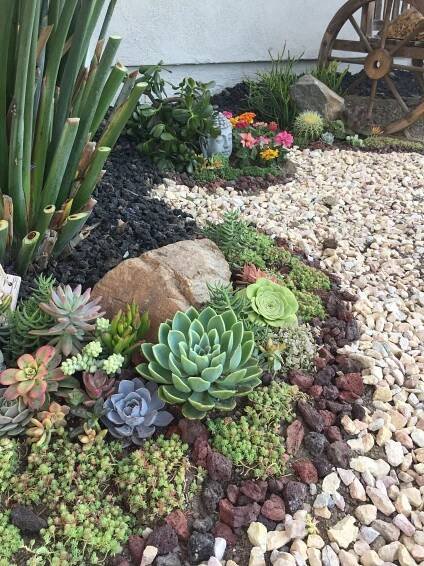 Pin de Cuchuflitz en Dream home | Jardines, Suculentas jardin, Jardín de jardinería