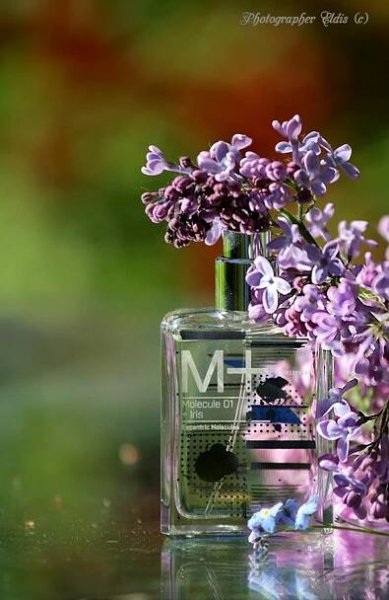 Molecule 01 + Iris Escentric Molecules pro ženy a muže