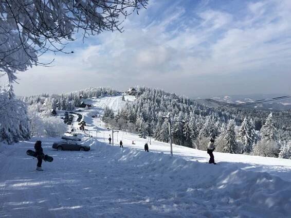 Lyžařské podmínky jsou ideální. | SKI CENTRUM KOHÚTKA | Lyžařský areál KOHÚTKA