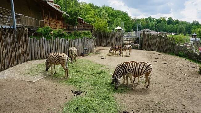ZOO Jihlava | Slevomat.cz