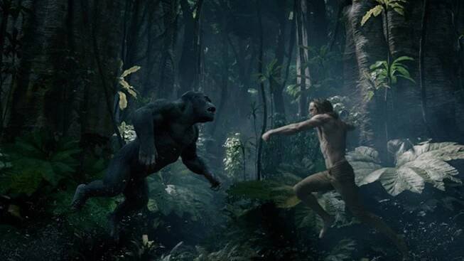 Tarzan v průběhu časů: jak se měnili představitelé krále džungle