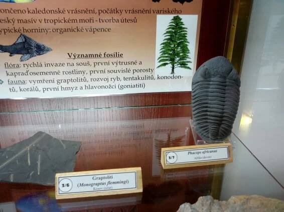 Muzeum Klenotnice v Nové Pace - Oficiální stránky obce Milovice u Hořic