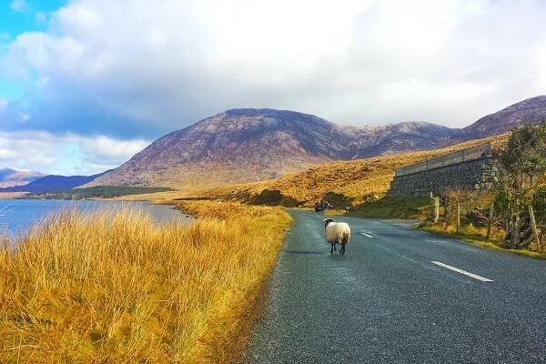 Národní park Connemara