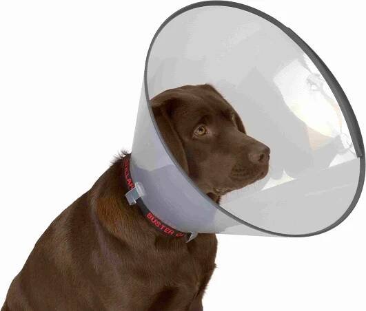 Kruuse Buster Comfort Collar 14 - 16 x 25 cm od 138 Kč