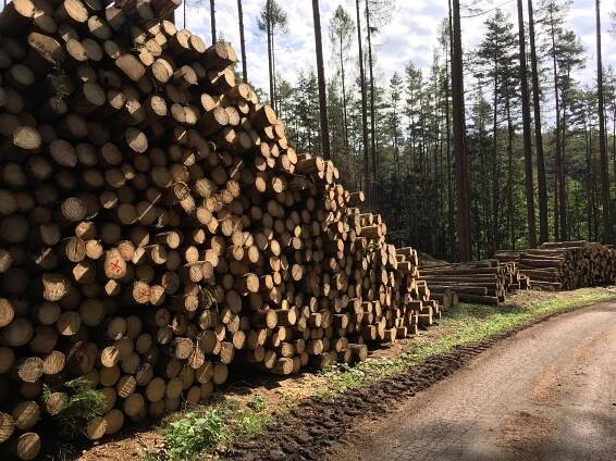 Naučná stezka dřeva Dlouhá Ves