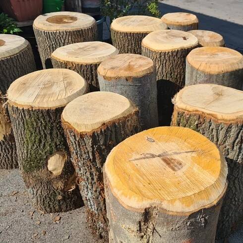 Palivové dřevo Roblín a okolí I štípané polena - akce - Pila Doležal
