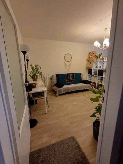 Pronájem bytu 1+1 40 m², Lýskova, Brno, Jihomoravský kraj