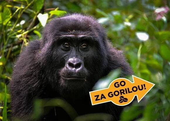 Soutěžte o 3 balíčky s kávou od Mountain Gorilla Coffee - PR Deník
