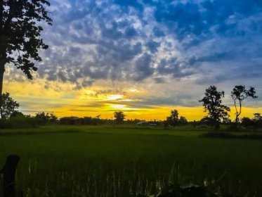 Krásný pohled rýže rýžového pole během sunrise, zataženo a modré oblohy, ráno — Stock obrázek
