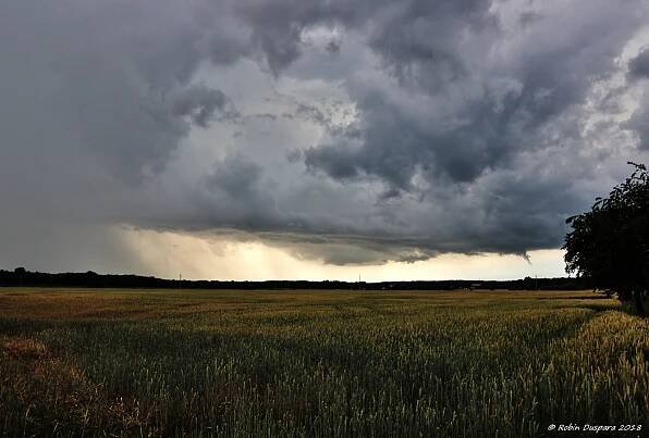 Oblak Cirrocumulus | Czech Thunderstorm Research Association