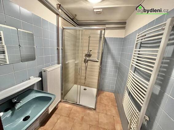 Pronájem bytu 2+kk 65 m², Město Touškov