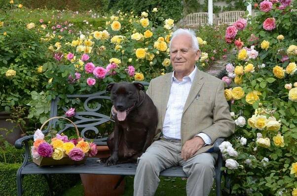 Remembering Our Roots - David Austin Wedding and Event Roses