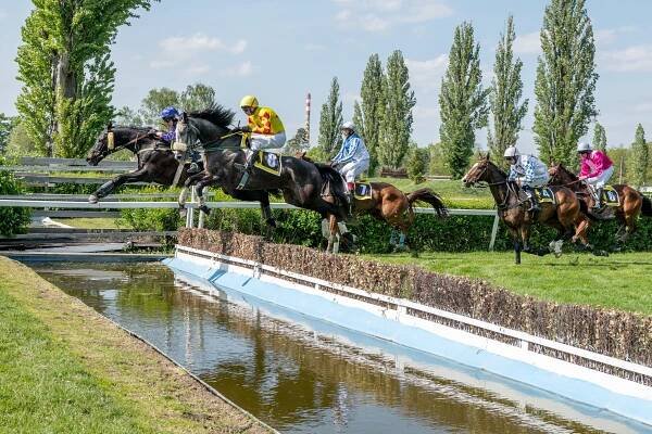 Dostihové závodiště Pardubice - sportovní zařízení - Východní-Čechy.info - oficiální turistický portál Pardubického kraje