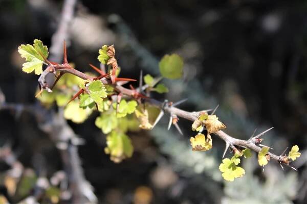 Angel Island State Park – Marin = Hike