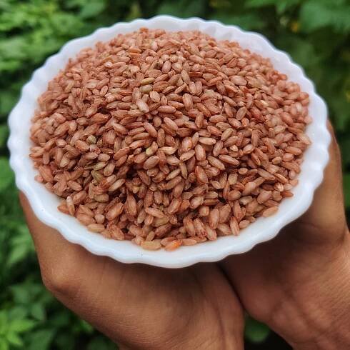 Organic Chad Dhan Red Rice (aged) - 3 KG, 6 KG & 10 KG - Image 7