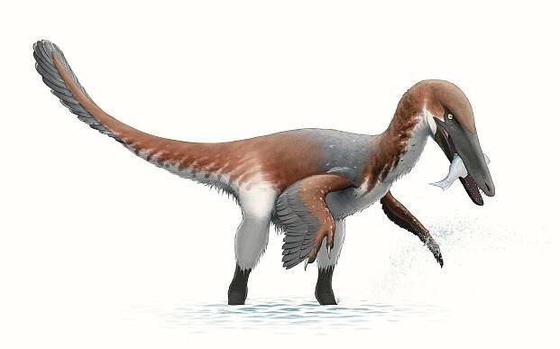 Soubor:Austroraptor Reconstruction.jpg – Wikipedie