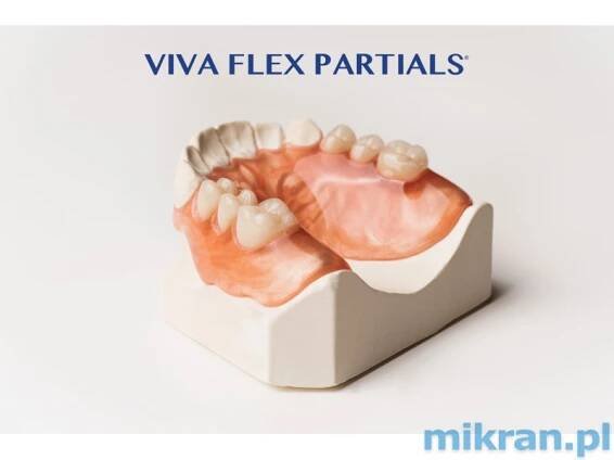 Viva Flex "LF" - 500 g balení, plné a částečné protézy + hygienický box na zubní protézy Viva Flex