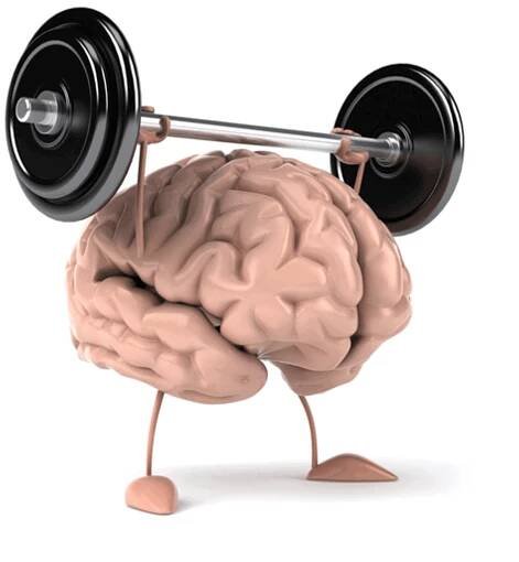 Neuroplasticita mozgu: to čo nás posúva a zároveň ničí - Celostná medicína