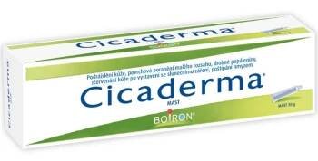 Cicaderma ung.30g