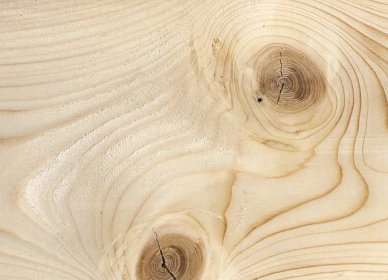 Hustota dřeva: tabulka hustoty různých druhů stromů. Co určuje průměrnou hustotu a jak se určuje? co to je?