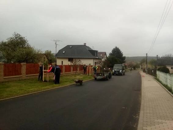 Komenského stromořadí, úprava prostranství u bytovek a třída Karla Petáka - Oficiální stránky obce Bohutín