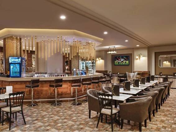 Bars - Food & Beverage - Delphin Platinum