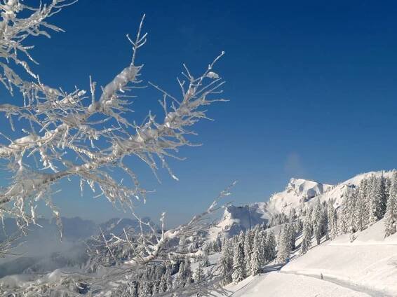 Test report Brauneck – Lenggries/Wegscheid