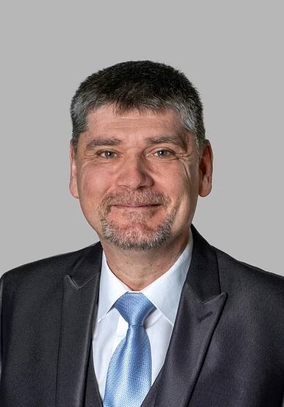 Martin Mareš, Dis.