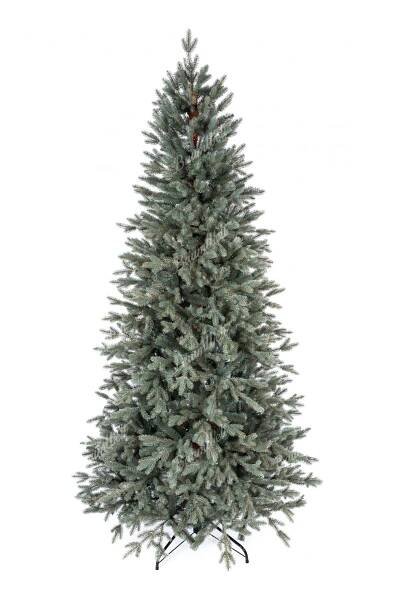 Schmale Weihnachtsbäume | Baumwelt
