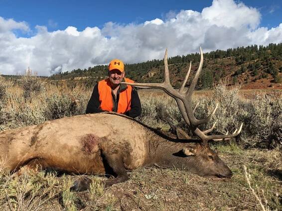 Unit 61 guided bull elk hunt.