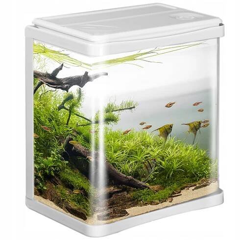 Malé Akvarium - Supermarket - Allegro