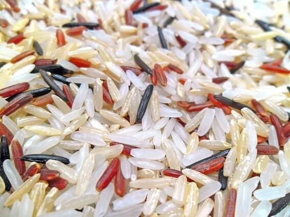 Soubor:White, Brown, Red & Wild rice.jpg – Wikipedie
