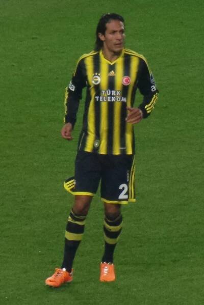 Bruno Alves – Wikipedia