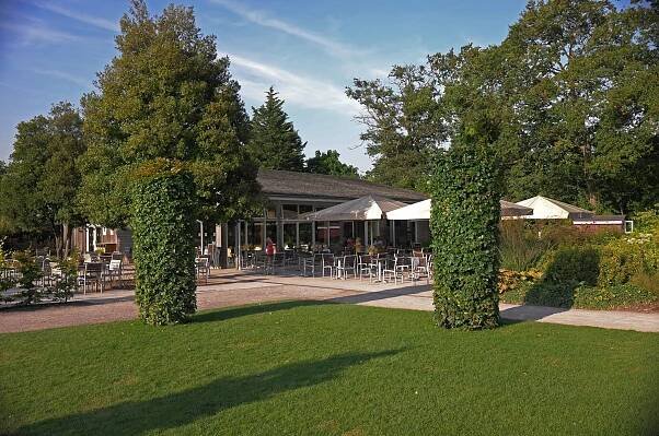 The Glasshouse Café at RHS Wisley | Mark Dudek Associates