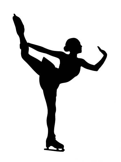 Pin by Sandra Dyer on Figure skating