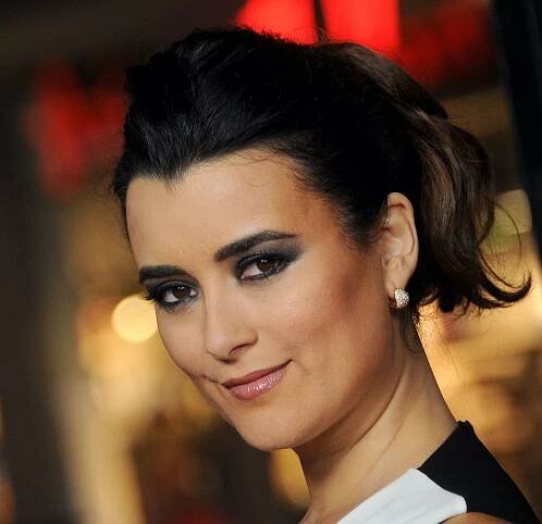 Actress Cote de Pablo arrives at the AFI FEST 2015 Presented By Audi Centerpiece Gala Premiere of "The 33" at TCL Chinese Theatre on November 9, 2015...