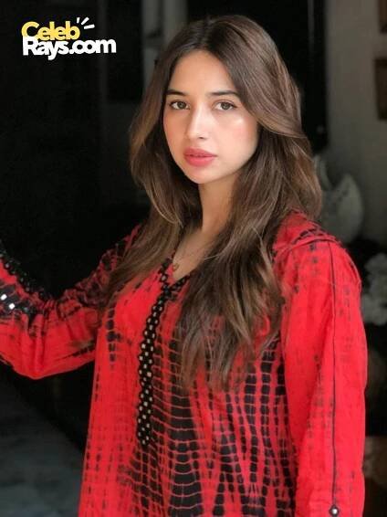 Sabeena Farooq dramas