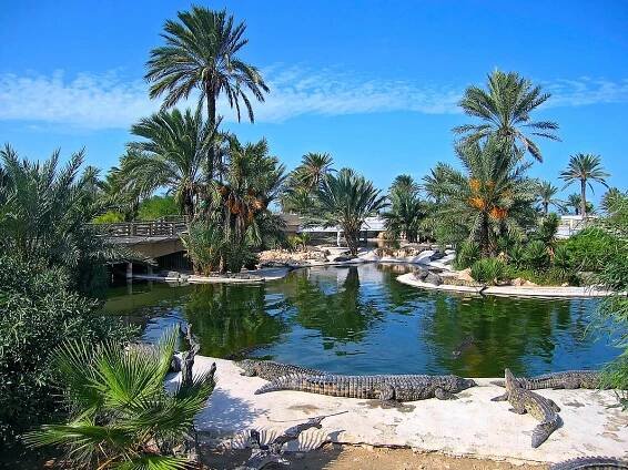 Djerba - Dovolená 2025 - CK FISCHER