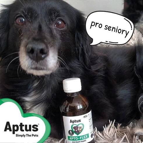 Aptus Apto-Flex VET sirup 500ml NEW