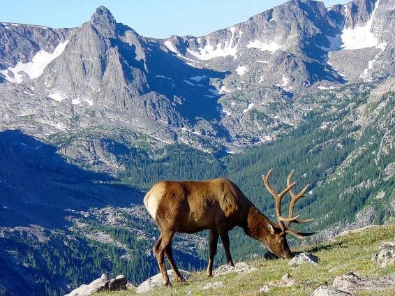 Rocky Mountains