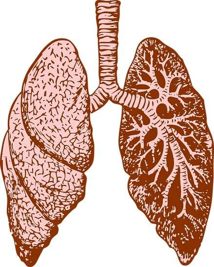 Spirometrie: Důležité vyšetření, které zkoumá funkčnost plic