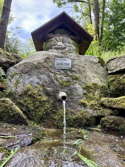 #352: Branný vrch a studánka Louženka (Větřní) | Mazané výlety
