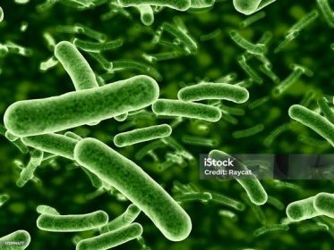 Mikroskopické zobrazení tekoucích bakterií - Bez autorských poplatků Bakterie Stock fotka