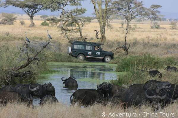 Safari v Keni, Tanzanii a Zanzibar