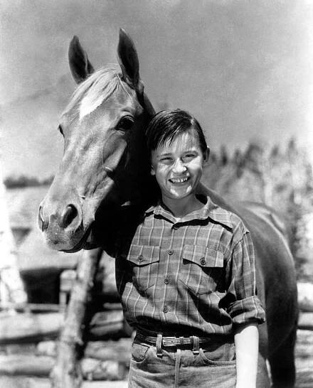 MY FRIEND FLICKA, Roddy McDowall, 1943, TM and Copyright © 20th Century Fox Film Corp. All rights reserved,